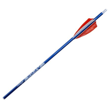 Youth Arrows