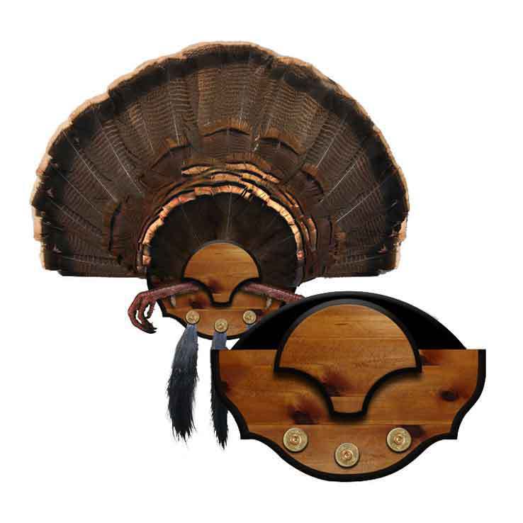 Taxidermy Supplies