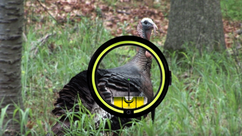 turkey shot placment