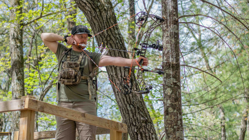 The Problem Isn't Your Bow, It's You