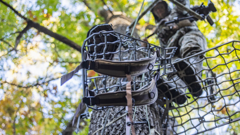 Summer Chores For Deer Hunters