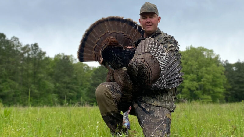 Late Season Turkey Tactics
