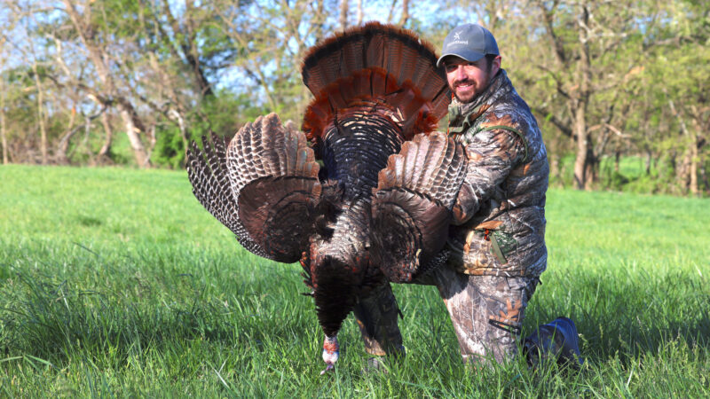 Turkey Calling Mistakes Hunters Make
